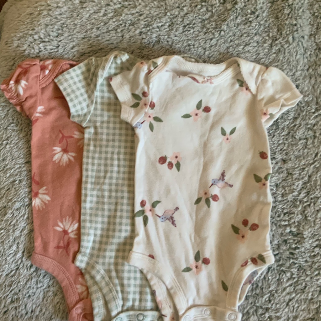 Carter's Three Piece Pink And Green Onesies With Floral And Gingham Patterns